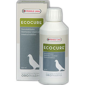 Versele Laga Ecocure 250 ml ( intestinale stabilisator ) Voor duiven en vogels. 