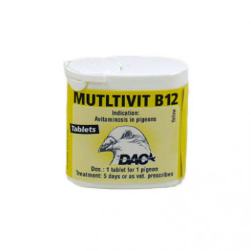 DAC Multivit B12 (multivitamine met extra B12)