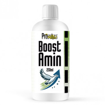 Prowins Boost-Amin 250ml