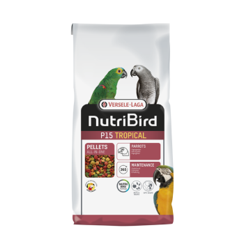 NutriBird P15 Tropical 1kg, (uitgebalanceerd volledig onderhoudsvoeder voor papegaaien)