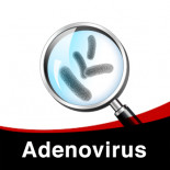 Te volgen schema voor de behandeling van adenovirus bij duiven