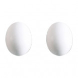 STA Groot plastic Ei voor duiven