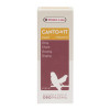 Versele - Laga Canto - Vit Liquid Suppliment 30 ml ( vitamines ) . Voor kooivogels